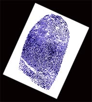fingerprint