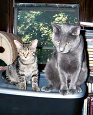 Kiwi & Mr. Blue in 2005