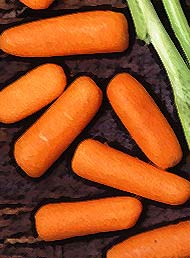 baby carrots